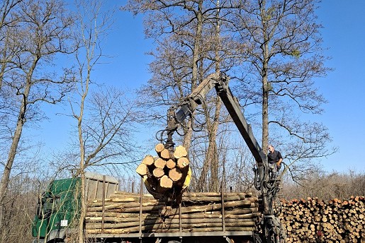 Képek munkáinkból