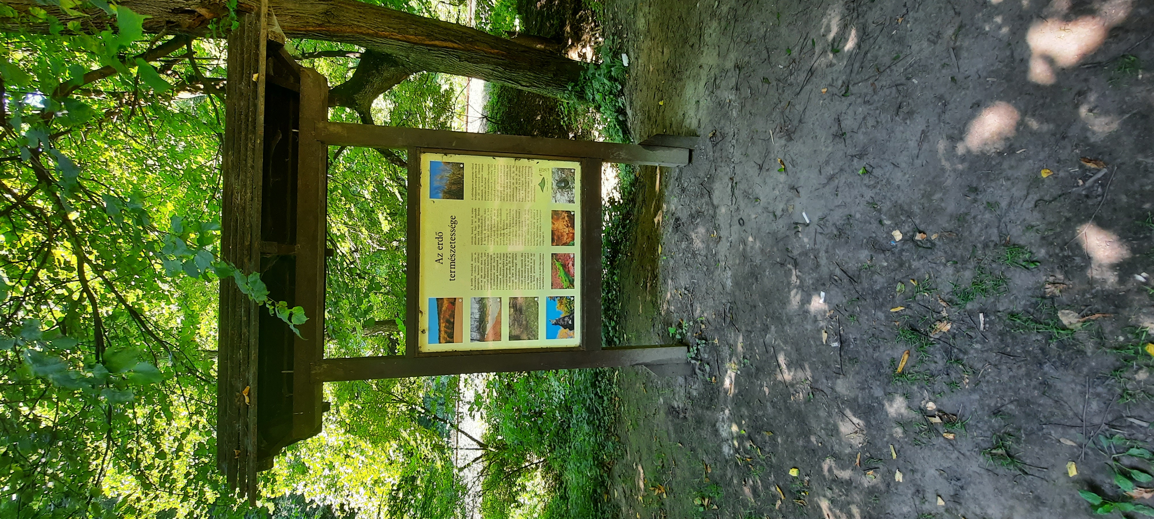 Önkormányzatok